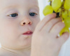 Ishrana beba: Kada se u bebin jelovnik uvodi grožđe