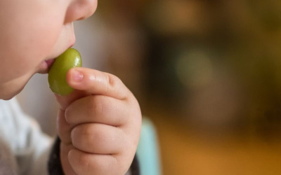 Upozorenje lekara: Trešnje, grožđe i čeri paradajz mogu biti opasni za malu decu