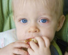 Visoko alergogene namirnice u bebinoj ishrani